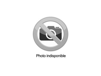 Sacs aspirateur et filtres wpro ae 10 cw