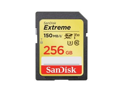 Carte m&eacute;moire flash - SANDISK -  - 256GB -  -  (SDSDXV5-256G-GNCIN)