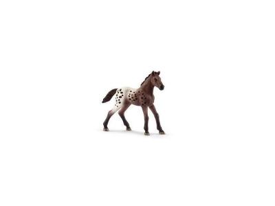 Schleich- Figurine Poulain Appaloosa Horse Club, 13862, Multicolore