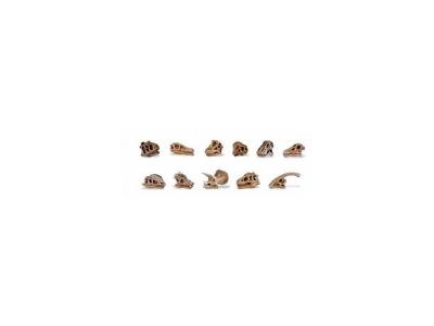 Safari jeu de r&ocirc;les Cr&acirc;nes de dinosaures Toob junior brun 11 pi&egrave;ces