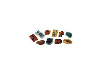 Safari Ltd Ancient Fossils Toob Figure Multicolore From 3 Years