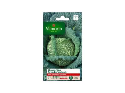 Chou de Milan gros des vertus VILMORIN 2 g