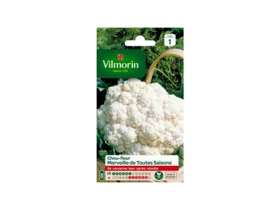 Vilmorin - Sachet graines Chou-fleur Merveille de toutes saisons
