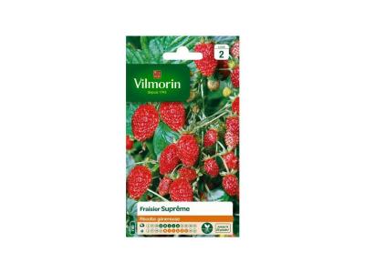 Vilmorin 3585042 Pack de Graines Fraisier 4 Saisons Supr&ecirc;me