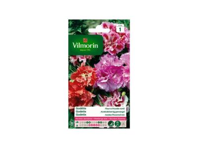 Graines de Godetia Double &agrave; Fleur Azal&eacute;e Vari&eacute; Vilmorin