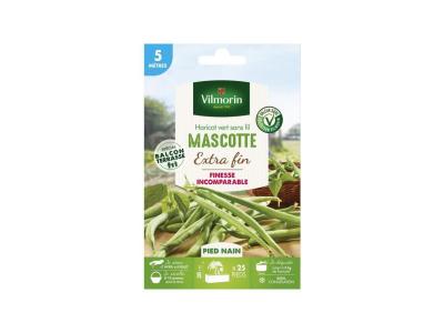Vilmorin - Haricot Vert sans fil mascotte extra fin ( 5 m&egrave;tres )
