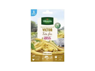 Vilmorin - Haricot Beurre sans fil VICTOR tr&egrave;s fin ( 5 m&egrave;tres )