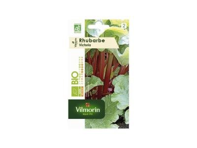 Sachet graines Rhubarbe Victoria Bio - Rheum rhabarbarum