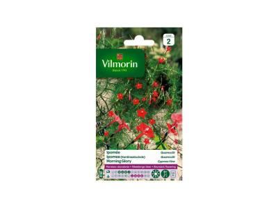 VILMORIN Ipom&eacute;e Quamoclit &agrave; petites fleurs &eacute;carlates