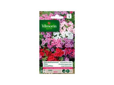Graines de Phlox de Drummond Grande Fleur Vari&eacute;e Vilmorin