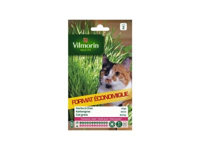 Vilmorin 5876839 Herbe &agrave; Chat orge, Vert, 11 x 1.5 x 19 cm