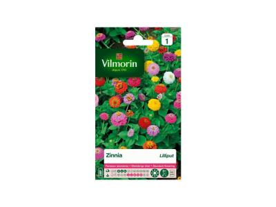 VILMORIN Zinnia Lilliput varie