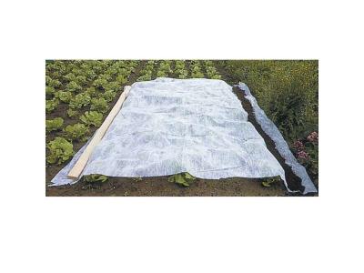 Voile d'hivernage blanc 30g/m2 Werkapro 2 x 10 m