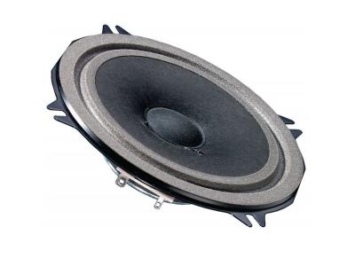 Full-range speaker 13 cm (5) visaton 2061