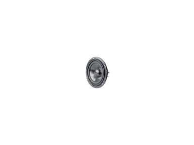 Visaton W 100 S 4 OHM - commande de haut-parleur