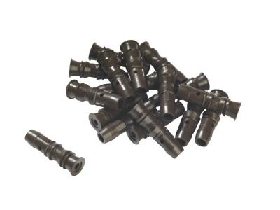 Chevilles femelles pour traitement bois par injection WAGNERx100
