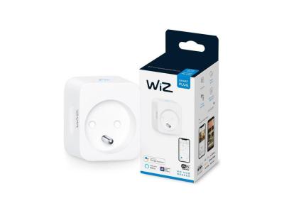 Wiz prise connect&eacute;e intelligente WIZ8718699789343