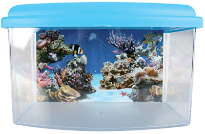 Zolux - Bo&icirc;te de transport Aqua Travel 22 cm