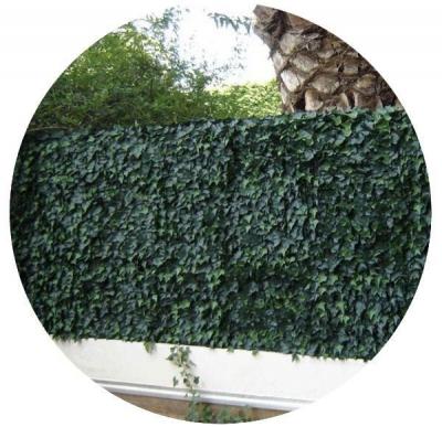Plaques clipsables de feuillage artificiel 3m&sup2; (Lot de 12) Lierre - Vert