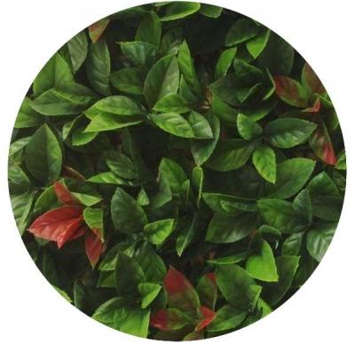 Plaque carr&eacute;e red robin dentel&eacute; JET7GARDEN - Vert - 12 x 50 cm x 50 cm