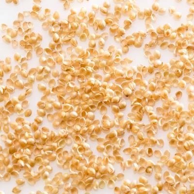 Oreiller de millet bio MILLE OREILLERS 50 x 70 cm