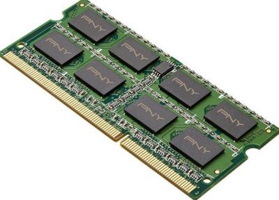 PNY SOD108GBN/12800/3-SB M&eacute;moire SO-DIMM 8 Go Vert