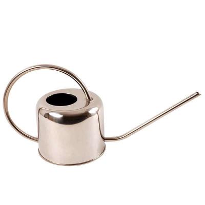 Arrosoir en inox couleur argent 1 litre