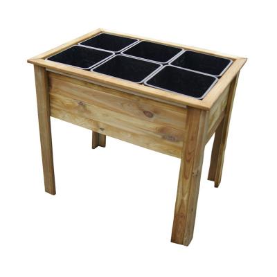 C&eacute;monjardin - Potager sur pieds avec 6 bacs de s&eacute;paration
