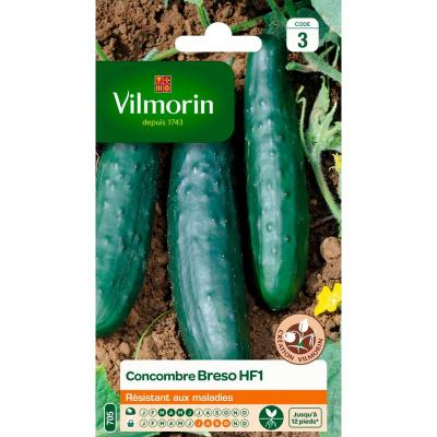 Vilmorin - Sachet graines de Concombre Breso HF1