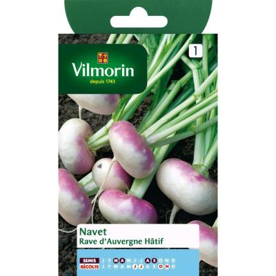 Vilmorin - Sachet graines Navet rave d'auvergne h&acirc;tif