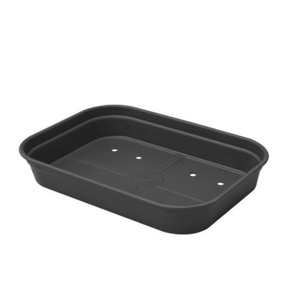 Elho - plateau de culture green basics grow tray m living noir