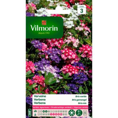 Vilmorin - Sachet graines Verveine Brio vari&eacute;e