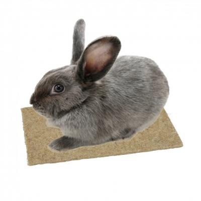 KERBL Tapis en chanvre - 40 x 25 cm - Pour rongeur