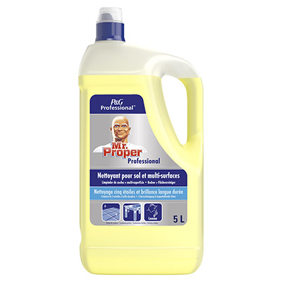 Mr. Propre Professional Nettoyant Multi-Usages - 5&nbsp;L