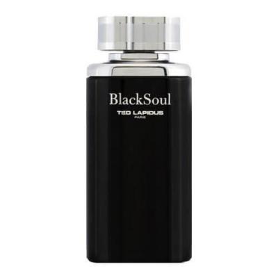 Ted Lapidus Black Soul Eau de Toilette Vaporisateur 100 ml