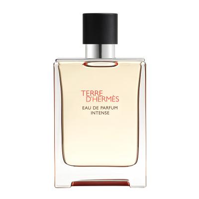 Terre d'Herm&egrave;s - Eau de Parfum Intense-100ml HERM&Egrave;S