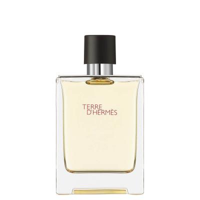 TERRE D&acute;HERM&Egrave;S eau de toilette vaporisateur 200 ml