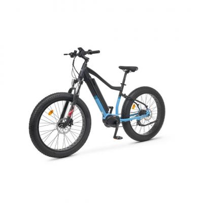 V&eacute;lo &Eacute;lectrique Youin BK1650 DALLAS Noir Caf&eacute; 250 W 20