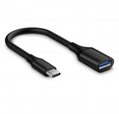 C&acirc;ble Adaptateur OTG pour Nintendo Switch - STRABE GAME - USB