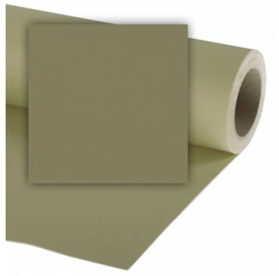 Accessoire &Eacute;clairage Colorama Fond 272 X 110 Leaf
