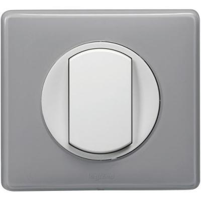 Legrand 066601 Plaque C&eacute;liane Laqu&eacute;, 1 Poste, Finition Gris Perle