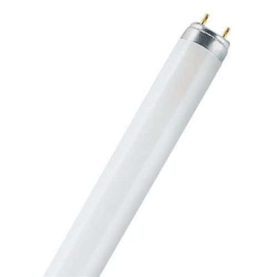 G13 T8 18W/865 Tube fluorescent LUMILUX
